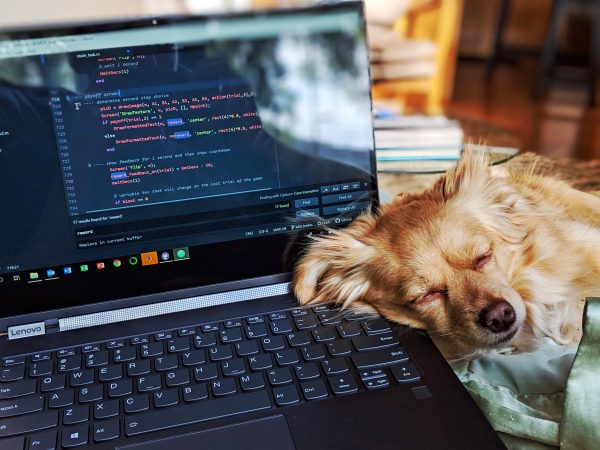 Dogfooding: A Powerful Addition to the User Research Toolkit